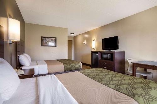 Econo Lodge Darien Lakes image 22