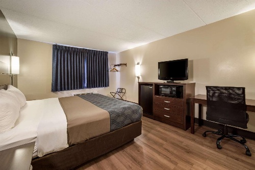 Econo Lodge Darien Lakes image 3